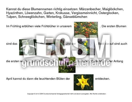 Lückentext-Blumen.pdf